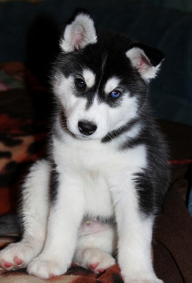 IMG_5733 - копия.JPG