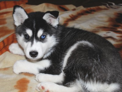 IMG_5739 - копия.JPG