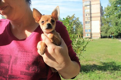 Изображение 391.jpg