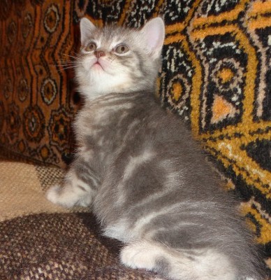 Изображение 137.jpg