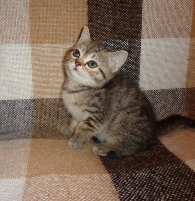 Изображение 121.jpg