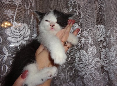 Изображение 115.jpg