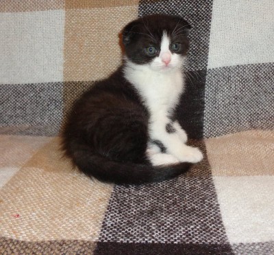 Изображение 109.jpg