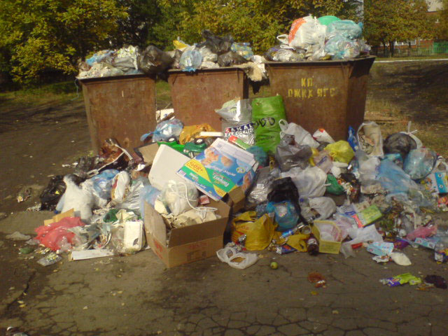 перед_мусорными_баками.JPG